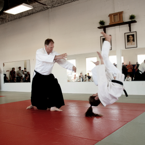 Aikido class